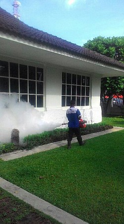 pelayanan jasa foging di magelang